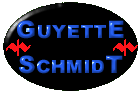 Guyette & Schmidt logo